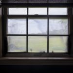 article image -